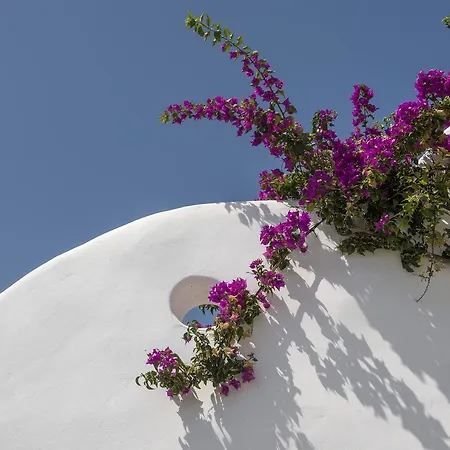 Veni * Santa Maria (Paros)