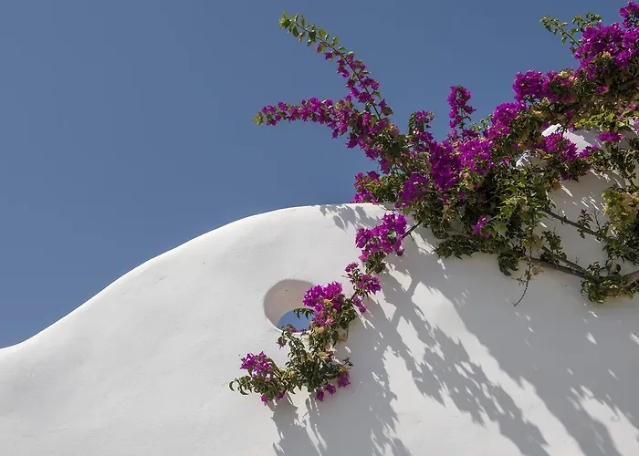 Veni * Santa Maria (Paros)